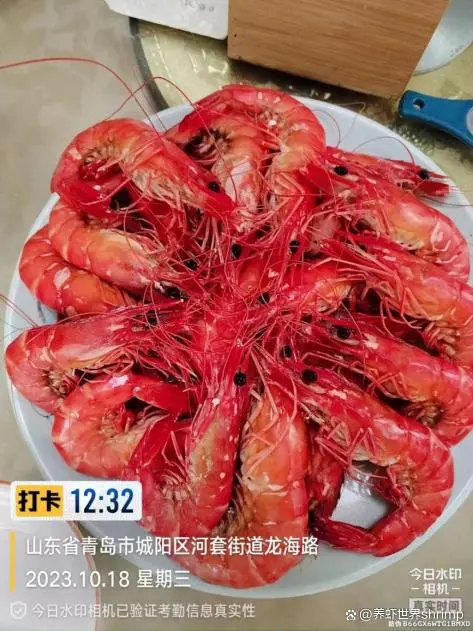 斑节对虾养殖最新技术_养殖斑节对虾_班节对虾养殖技术视频