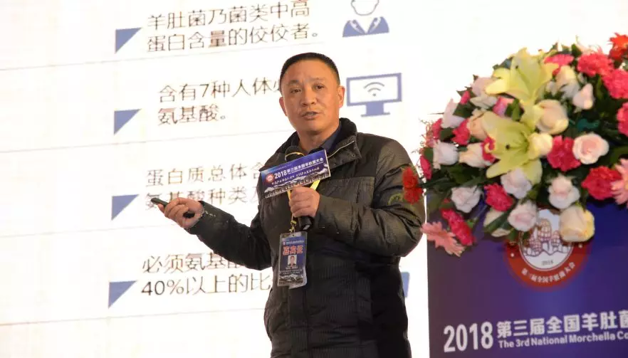 谭方河解构羊肚菌重要突破——外营养袋栽培技术