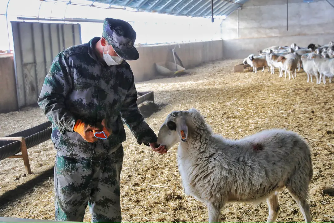 养殖的致富之路_致富养殖之路小说_致富养殖视频