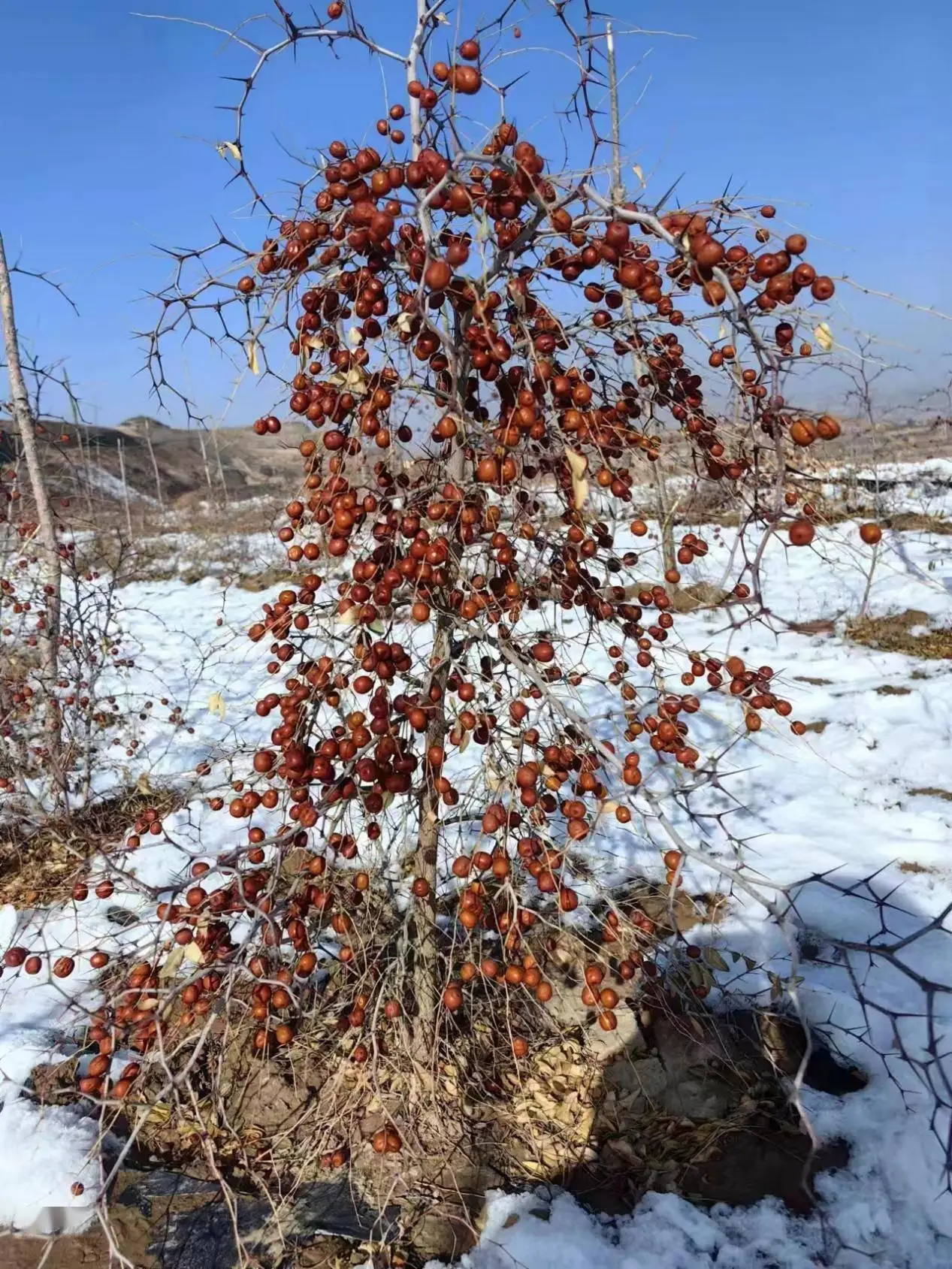 投资什么养殖致富_致富养殖业_致富养殖项目