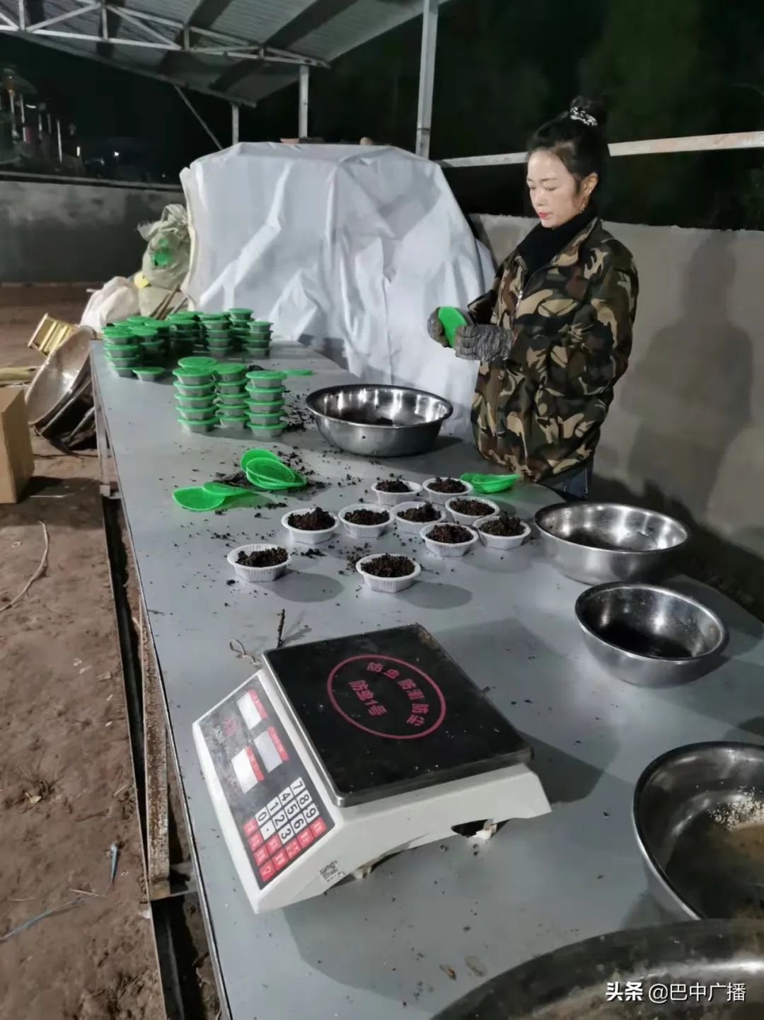 致富经张芳蚯蚓养殖_刘芳养殖蚯蚓_专业养殖蚯蚓