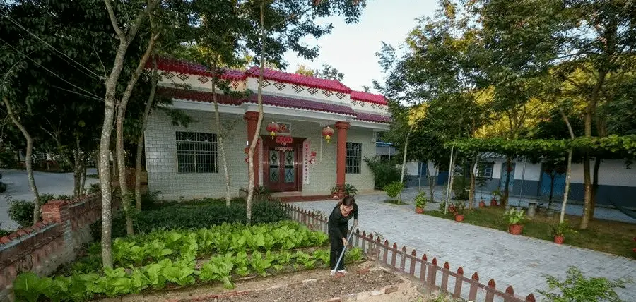芦荟种植10亩赚百万_致富芦荟种植农村图片大全_农村种植芦荟致富