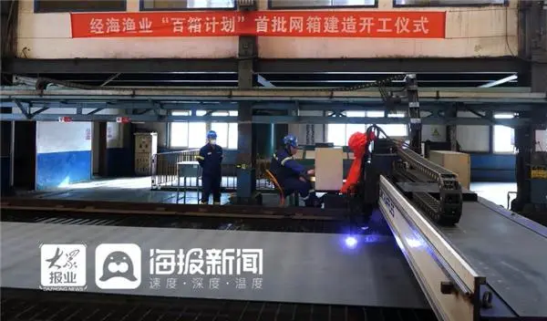 种莲雾赚钱吗_莲雾栽培技术视频_致富经莲雾养殖技术