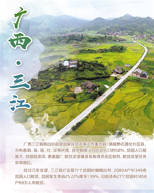 广西三江：“种茶种稻”致富可靠