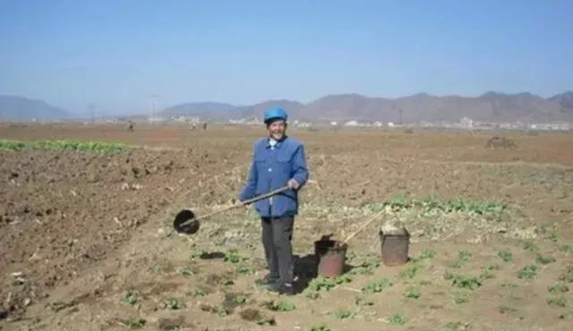 养殖鲶鱼视频_鲶鱼在养殖场养殖的视频_大口鲶鱼的养殖技术
