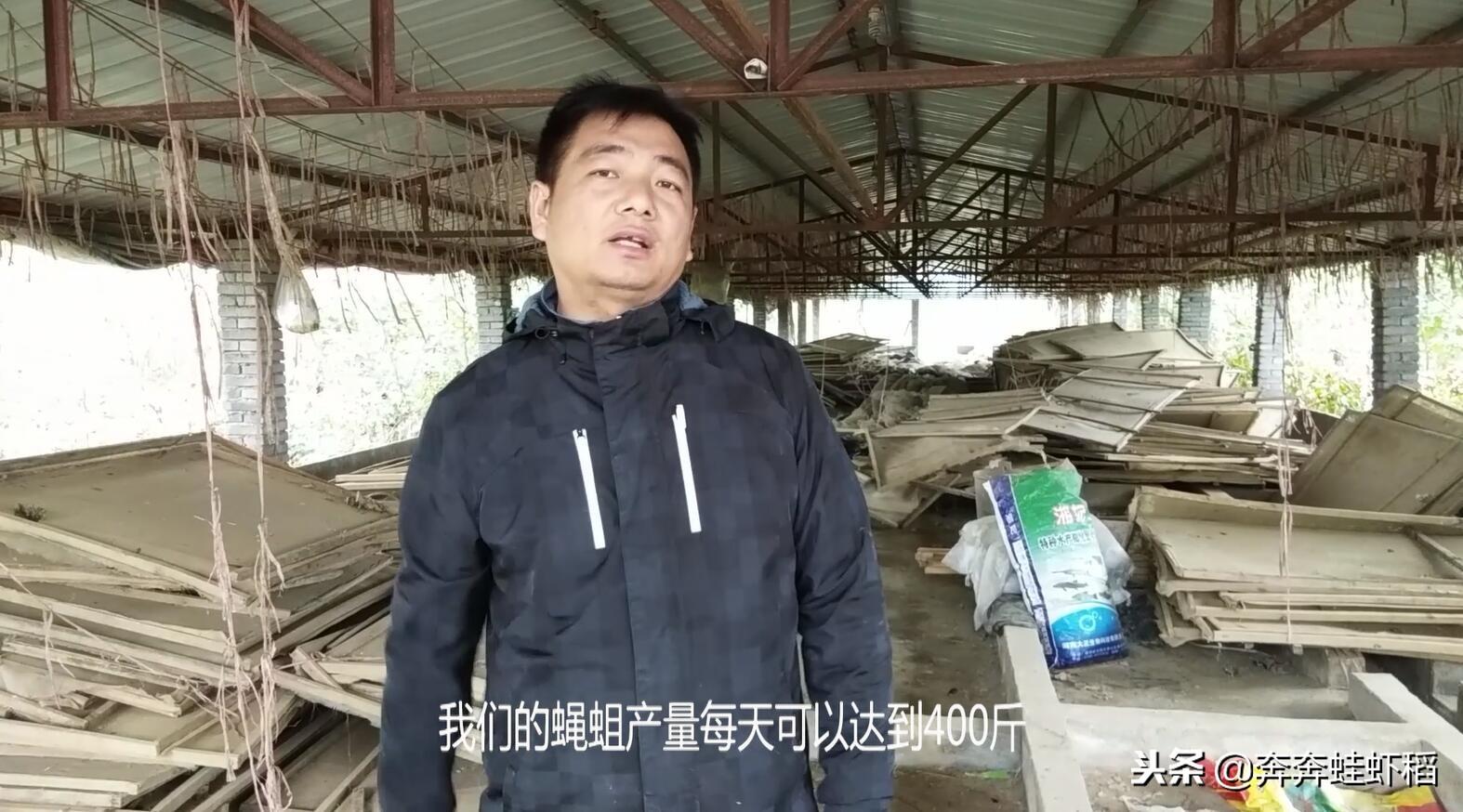 青蛙养殖致富吗_青蛙养殖致富吗_青蛙养殖致富吗