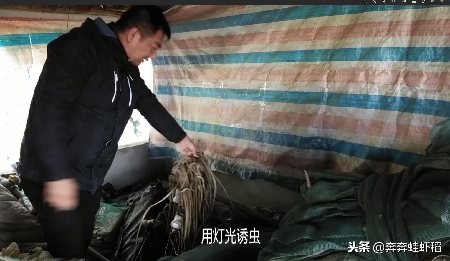 青蛙养殖致富吗_青蛙养殖致富吗_青蛙养殖致富吗