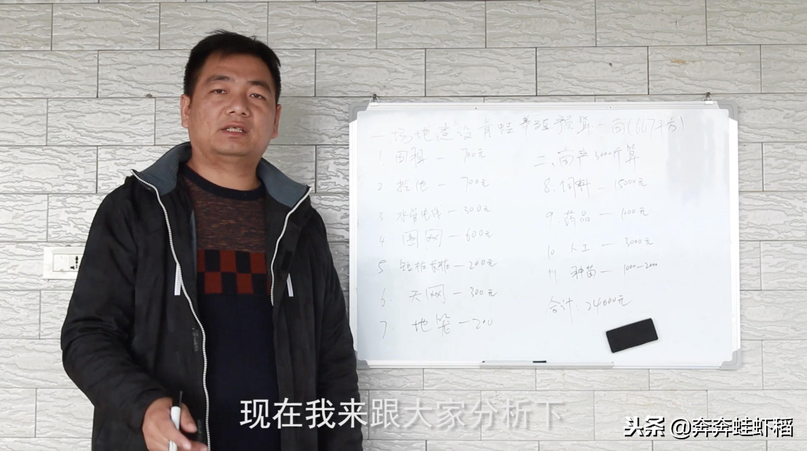 青蛙养殖致富吗_青蛙养殖致富吗_青蛙养殖致富吗