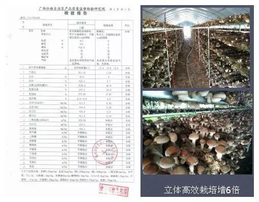 养殖致富项目直销_高效养殖致富直通车_养殖致富经