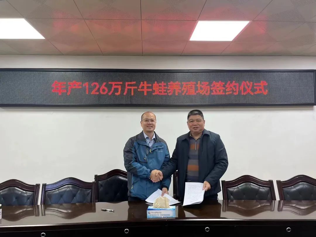 广东省曲江区：签订年产126万斤牛蛙养殖项目