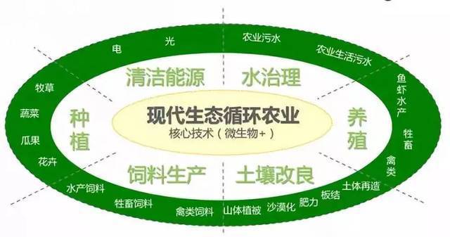 农村养牛照片_养殖牛羊图片_农村养殖牛技术图片
