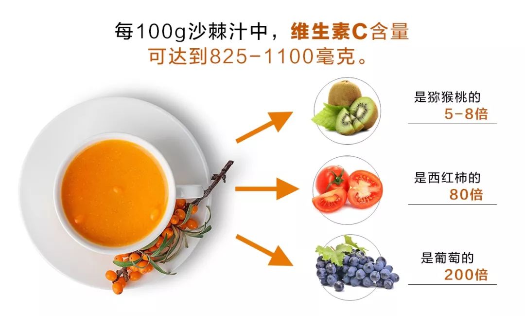 沙棘种植视频_致富经种沙棘视频_关于种植沙棘要求的视频报道