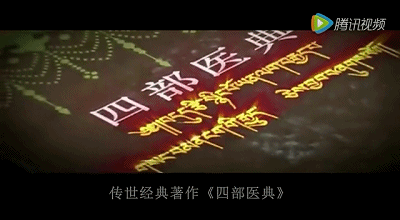 沙棘种植视频_关于种植沙棘要求的视频报道_致富经种沙棘视频