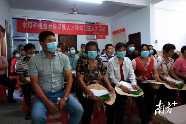 南溪镇水稻种植技术培训暨人才驿站引进人才活动现场。