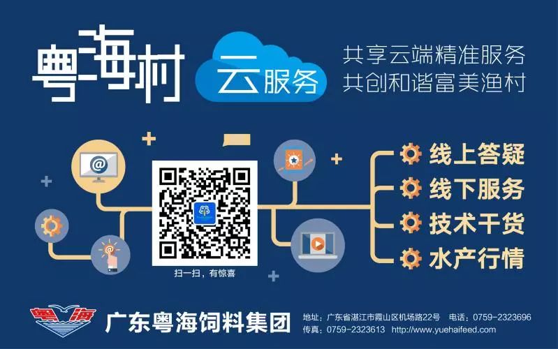 养殖食用青蛙致富_养殖食用青蛙致富_养殖食用青蛙致富