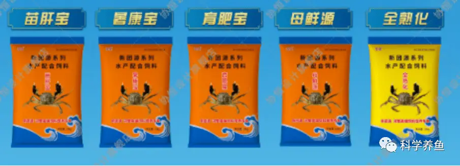 螃蟹养殖需要什么条件怎么养殖_螃蟹养殖海水_海螃蟹的养殖技术