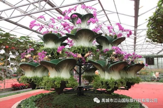 视频种植树草莓技术教程_树草莓种植技术视频_种植草莓的视频教程