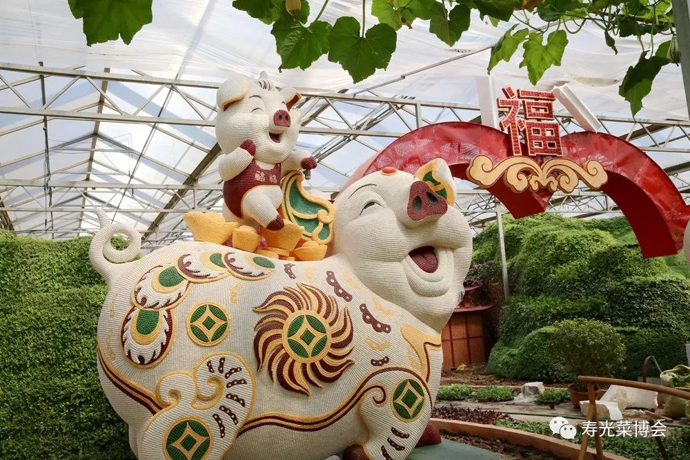 种植草莓的视频教程_视频种植树草莓技术教程_树草莓种植技术视频
