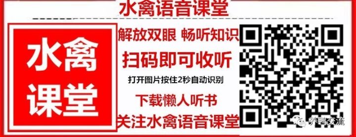 蛋鸭养殖前景如何_养殖蛋鸭的技术视频_高产蛋鸭养殖技术