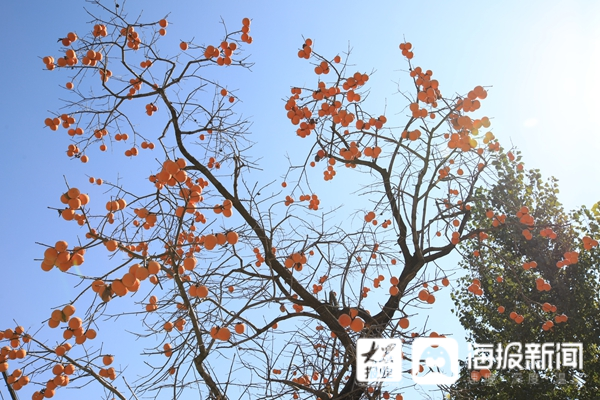 致富乡村旅游的意义_致富乡村旅游论文_致富经乡村旅游