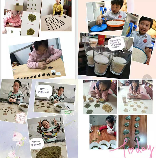 优质经验作用_优质经验作用是什么_优质经验作用有哪些