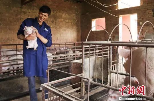 发财致富养殖_养殖发财图片_致富养殖视频