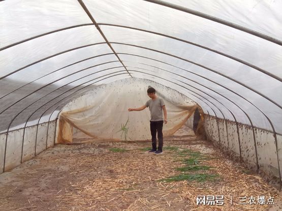 80后小伙养殖蚂蚱走上致富路