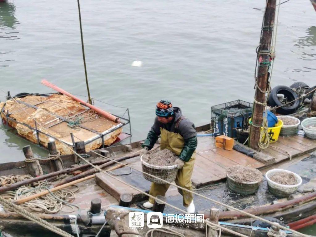海龙养殖致富项目_致富养殖海龙项目简介_海龙养殖视频