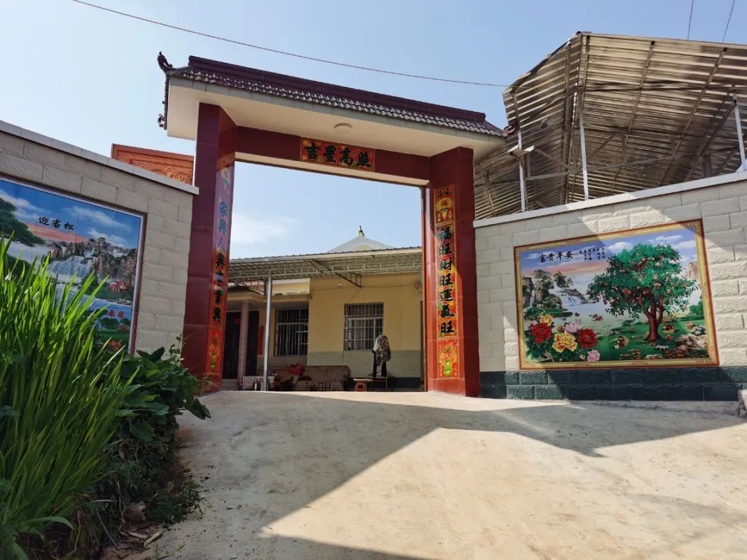 致富经种桑叶_种桑叶赚钱吗_种植桑叶整套技术与视频