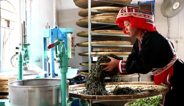养鸡致富经_养殖鸡致富经_养殖跑地鸡走上致富路