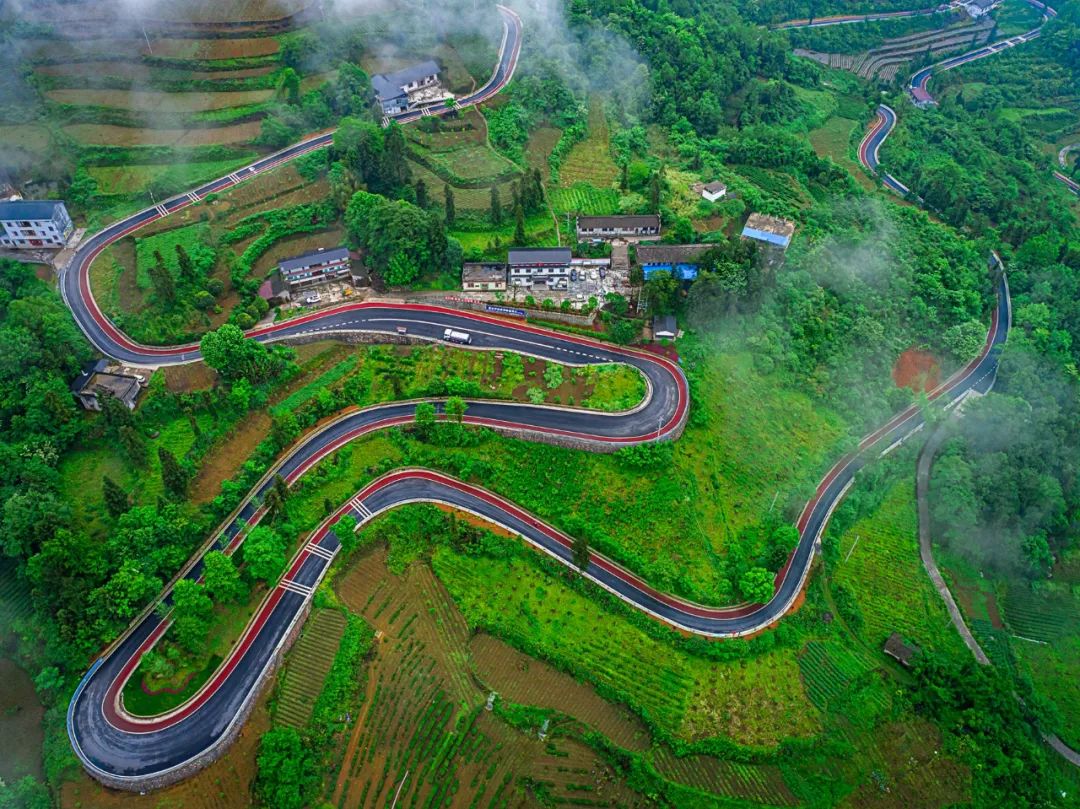 致富养殖麂子视频_养殖麂子致富_麂子养殖前景