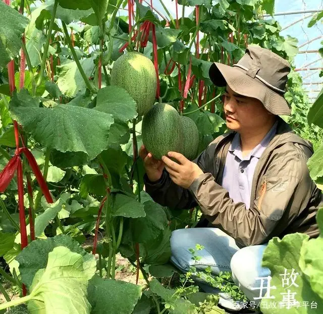 致富经韩树人_致富经 韩树人_致富经韩树人的水果传奇