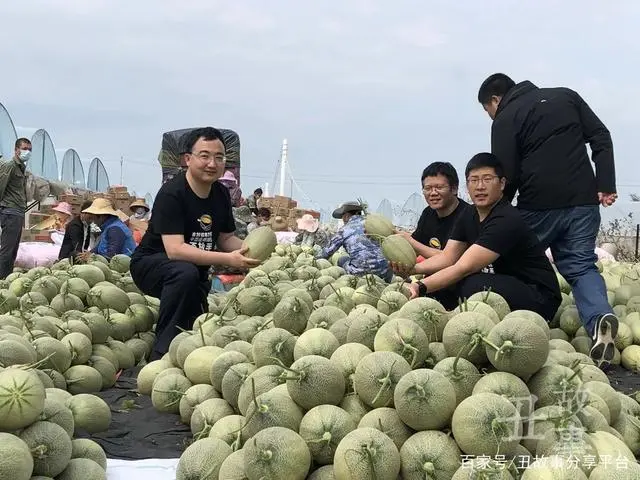 致富经韩树人_致富经 韩树人_致富经韩树人的水果传奇