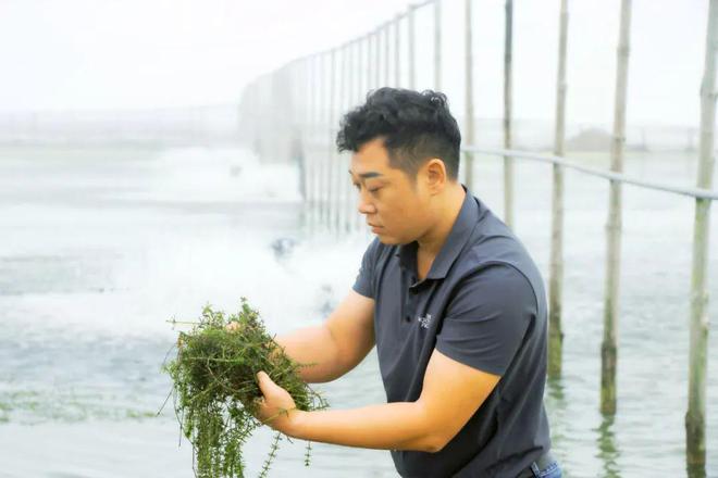 水产养殖致富成本_现在养殖水产一般得投资多少钱_水产养殖的成本核算