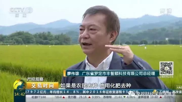 高清利用水稻种植脱贫致富_贫困户种植水稻补贴_水稻扶贫