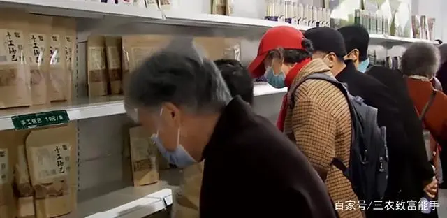 致富种植农村故事视频_农村种植致富案例_农村种植致富故事