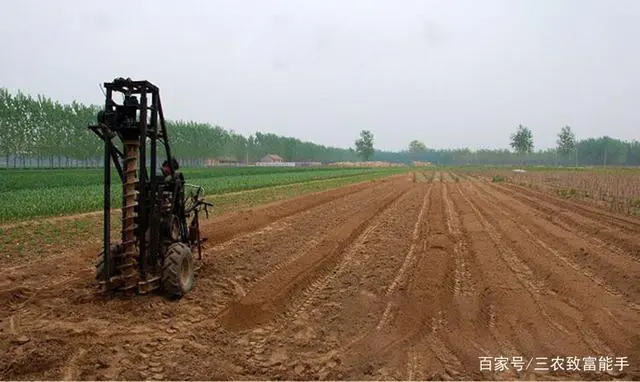 农村种植致富案例_农村种植致富故事_致富种植农村故事视频