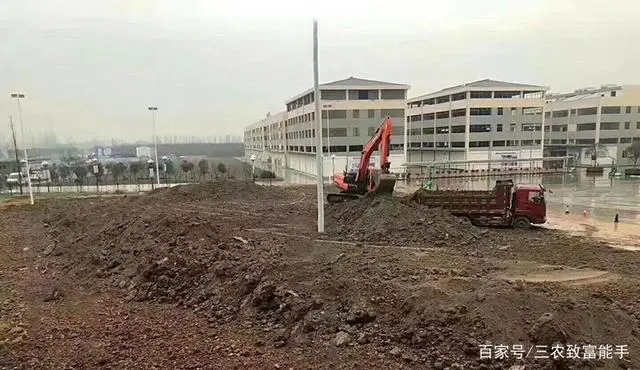 致富种植农村故事视频_农村种植致富故事_农村种植致富案例