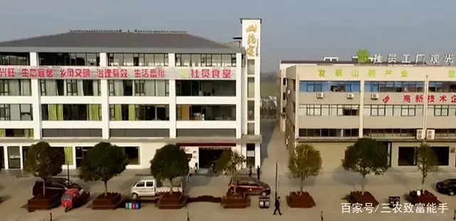 农村种植致富案例_农村种植致富故事_致富种植农村故事视频
