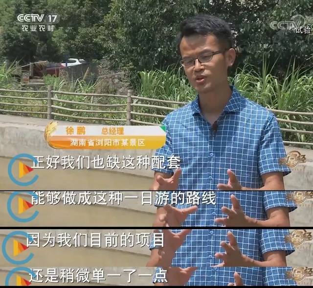 致富种植莲蓬视频_致富种植莲蓬图片_致富经种植莲蓬