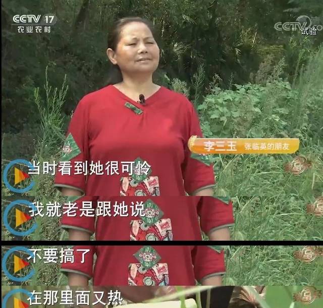 致富种植莲蓬视频_致富种植莲蓬图片_致富经种植莲蓬