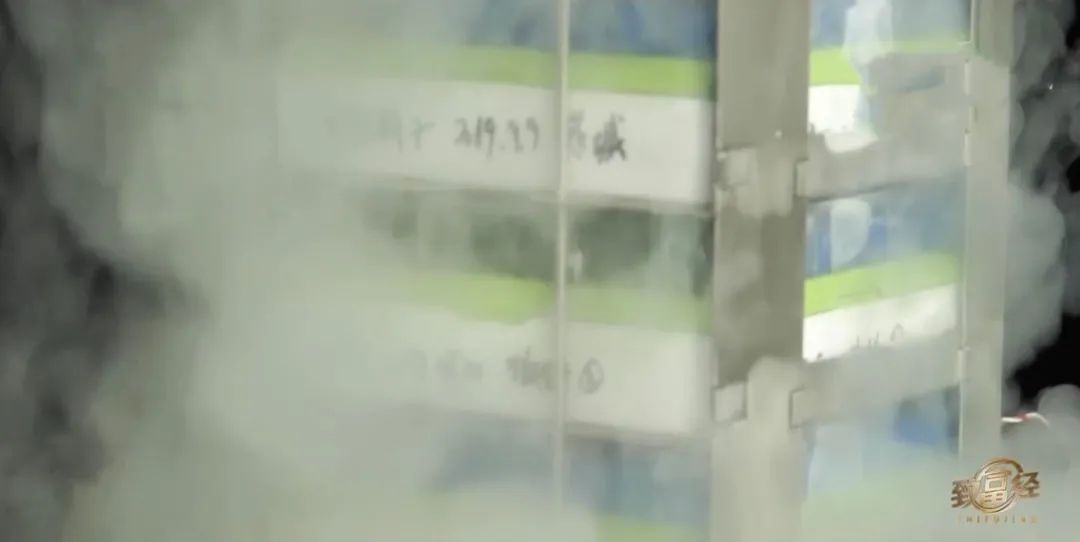 龙胆石斑鱼养殖条件_龙胆石斑鱼人工养殖_致富经龙胆石斑鱼养殖