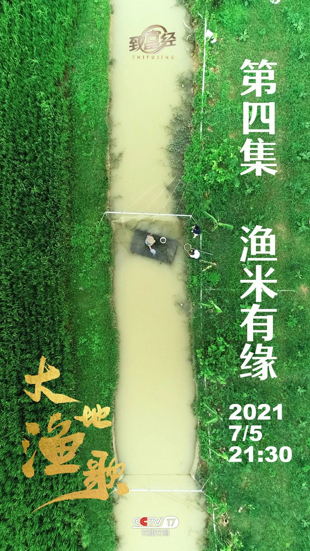 龙胆石斑鱼养殖条件_致富经龙胆石斑鱼养殖_龙胆石斑鱼人工养殖