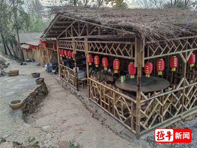 致富经猪_卖猪富豪_致富经一头猪卖上万