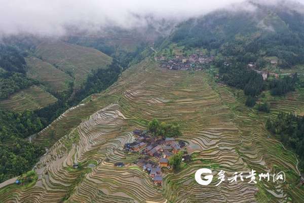 致富经农场_致富经种植项目_林下经济 致富经