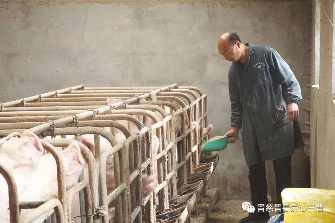 农村养殖致富门路_致富养殖农村门牌图片_农村养殖致富之门