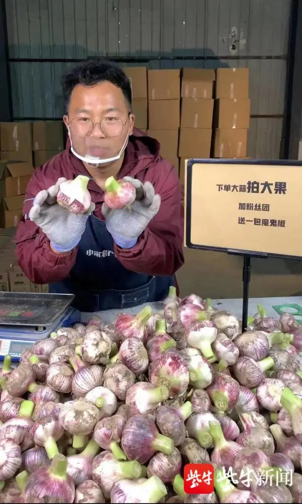 农村种植致富故事_农村致富故事成功_农村种植致富案例