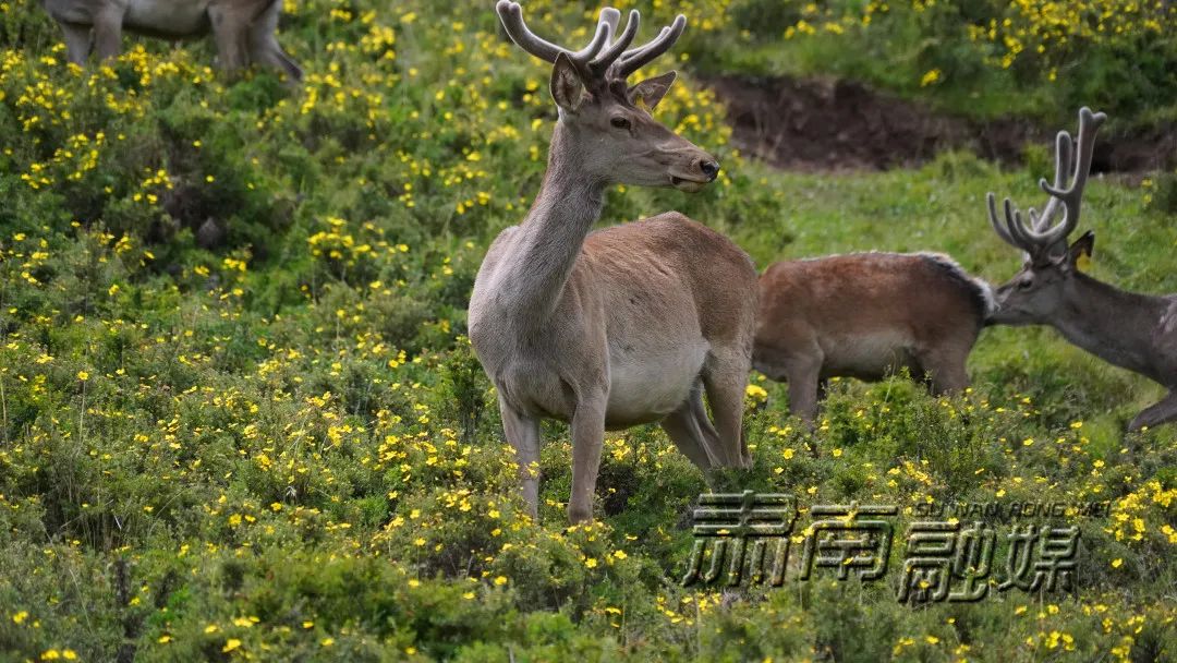养殖产业增收致富路_养殖致富之路_养殖业致富项目