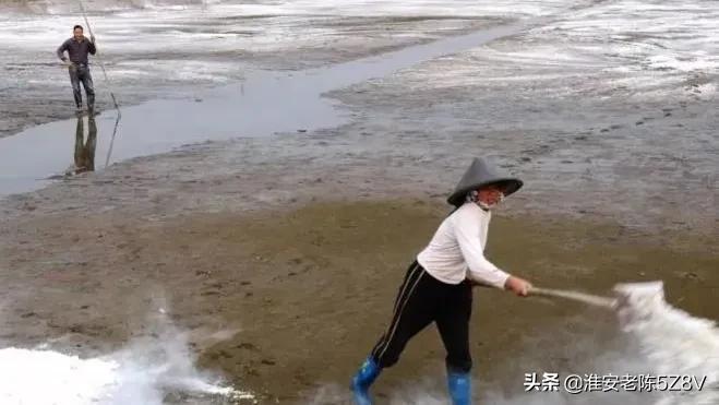 养殖小龙虾技术视频_龙虾怎样养殖视频播放_养殖龙虾视频大全