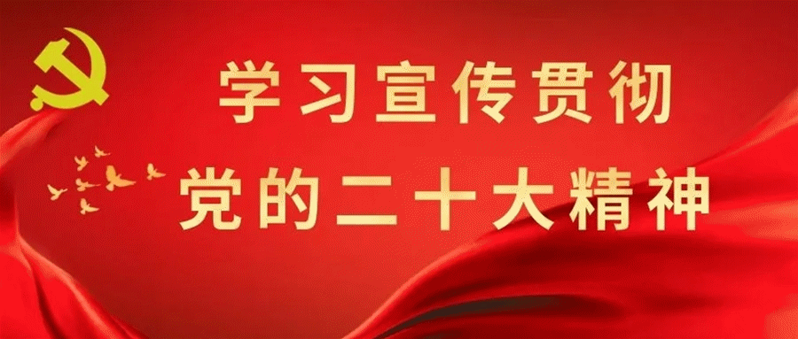 养殖牛羊增收致富_[每日农经]养牛致富办法多_致富养牛创业视频